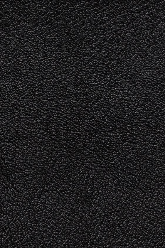 Black derby plain tip