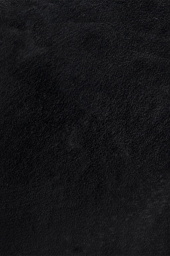 Double monk with plain tip fine calf black