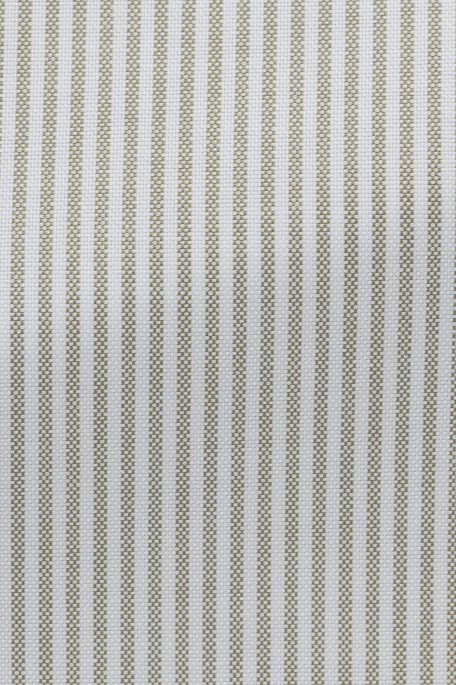 White natural stretch cotton oxford with sage stripes